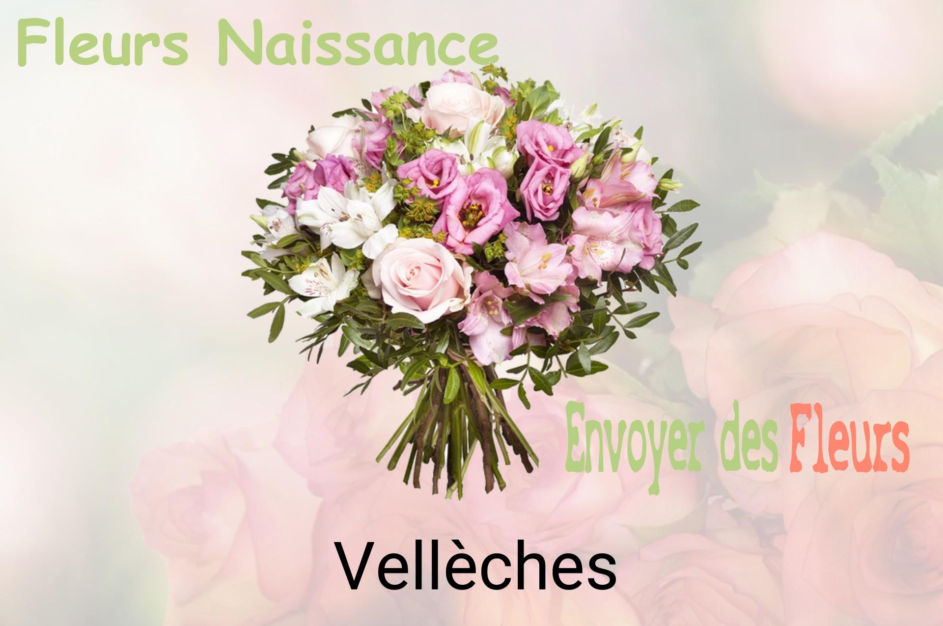 Bouquet de fleurs de naissance livré à Vellèches
