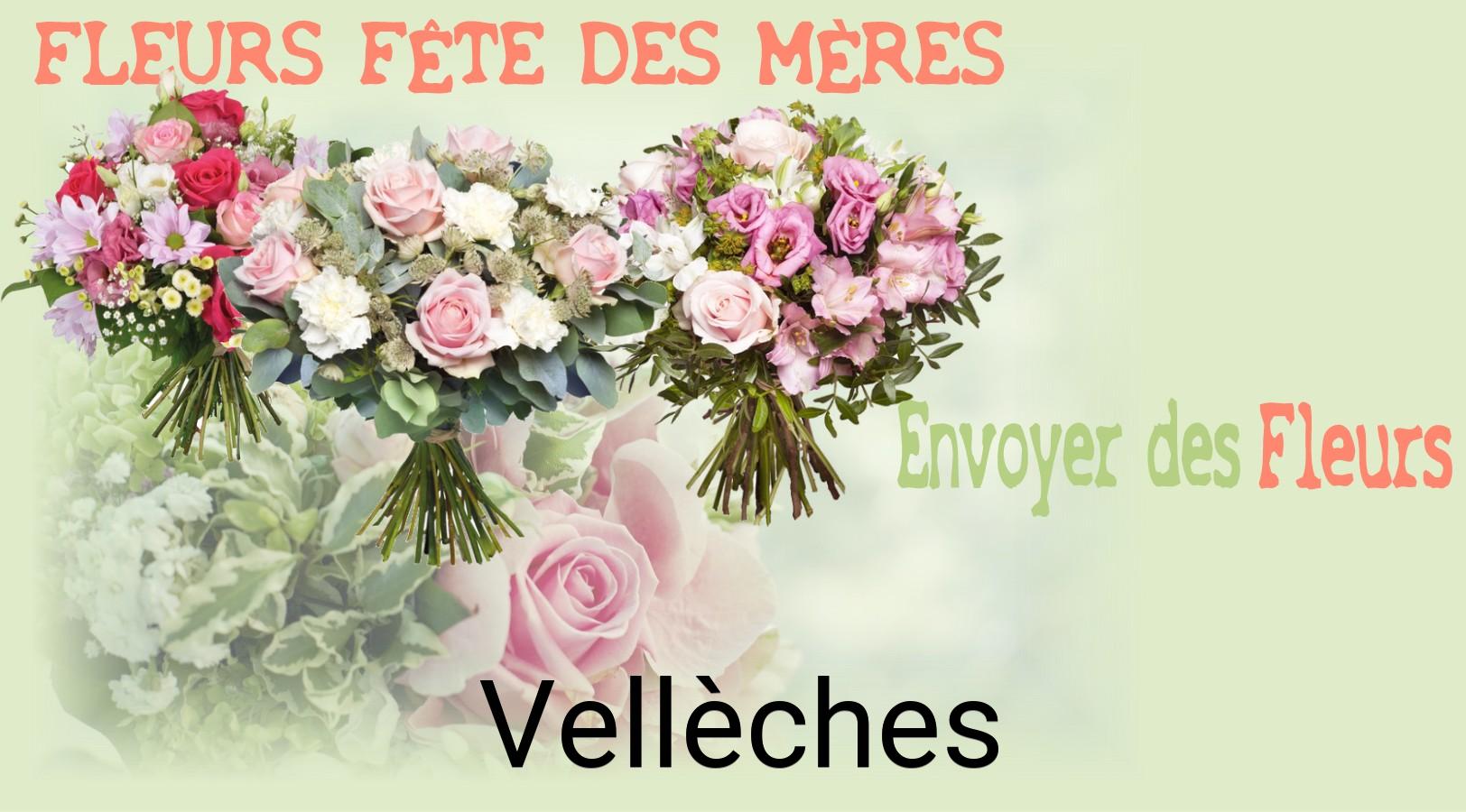 Bouquet de Fête des Mères livré à Vellèches